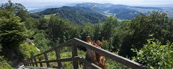 Aussicht vom Üetliberg